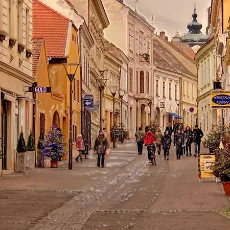 Ferencesek Apartman Lejlighed Pécs